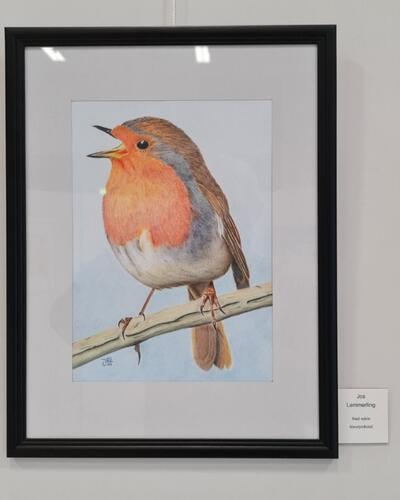 Jos Lemmerling -  Red Robin