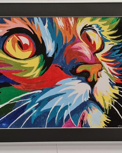 Leentje  Driessen - Crazy cat