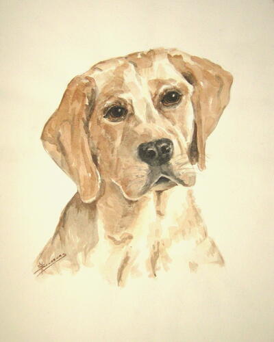 XDieren Aquarel Hond bruin 050 x 040