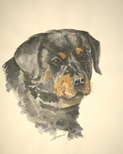 XDieren Aquarel Hond zwart 050 x 040