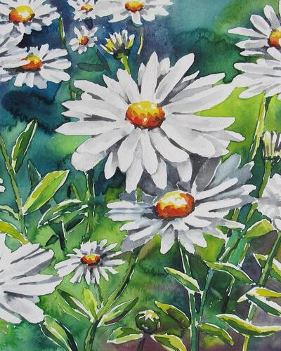 XXBloemen Aquarel Margrieten 055 x 076