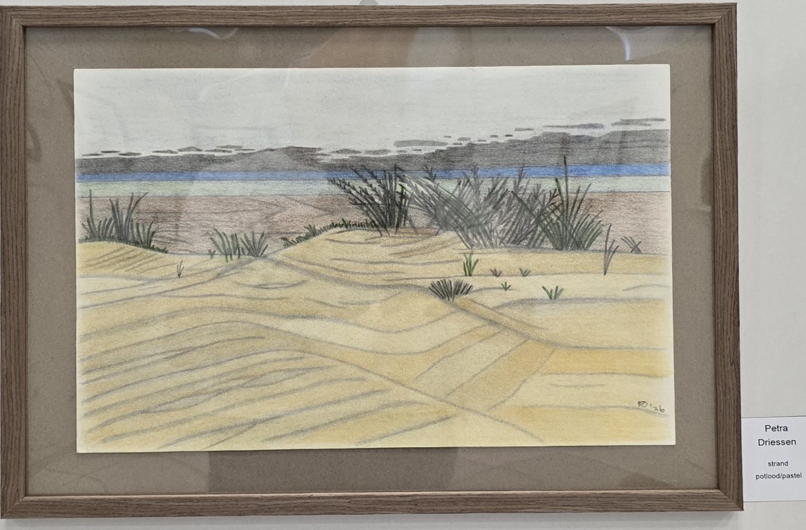 Petra Driessen - strand